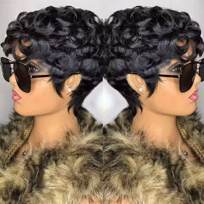 Short Curly Human Hair Wig